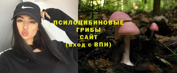 прущая мука Баксан