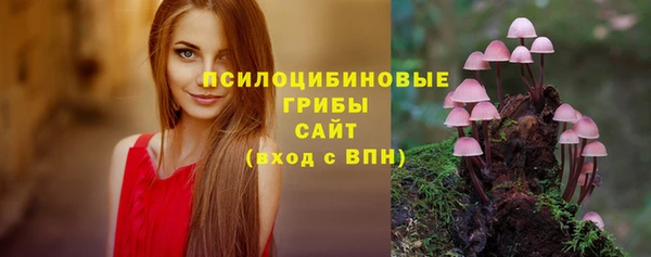молекула духа Балабаново